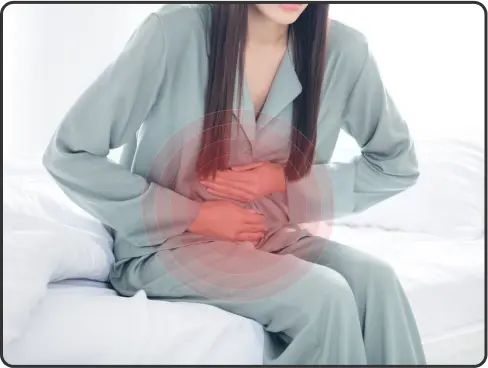 stomach