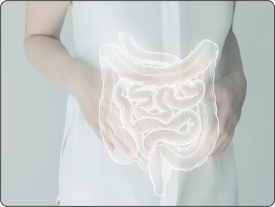 stomach