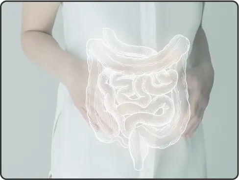stomach